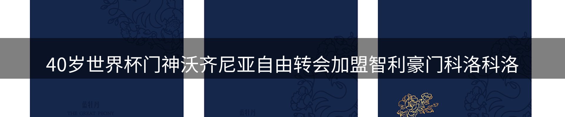新闻中心